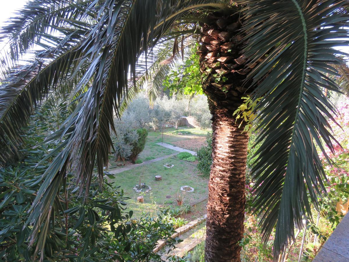 Apartments Palma נובליה חדר תמונה
